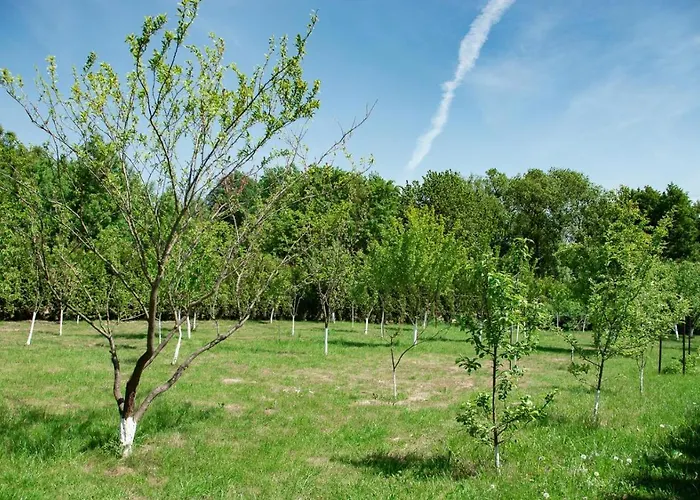 Podkowa