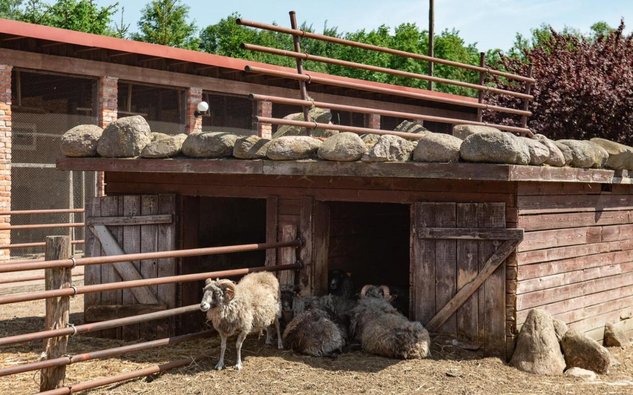 Podkowa Farm stay *
